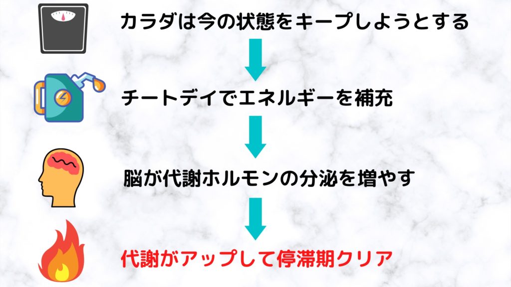 ダイエット停滞期はチートデイで攻略 翌日の食事とやり方の5つのポイント サラチキダイエット部