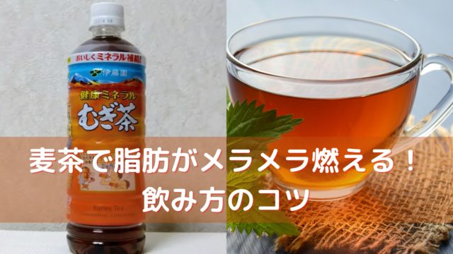 メラメラ燃える プロ歴9年が教える 麦茶でダイエットする4つのコツとデメリット サラチキダイエット部